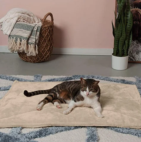 cat-bed-pad